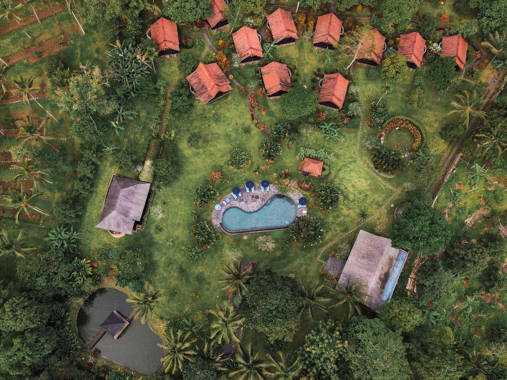 Bali Palms Leilighet Selemadeg Eksteriør bilde